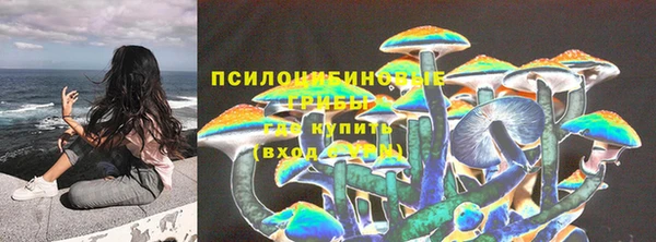 ГАЛЛЮЦИНОГЕННЫЕ ГРИБЫ Алексеевка